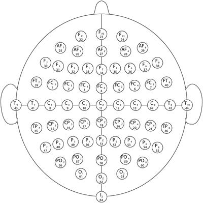 Characterization of Visuomotor/Imaginary Movements in EEG: An Information Theory and Complex Network Approach